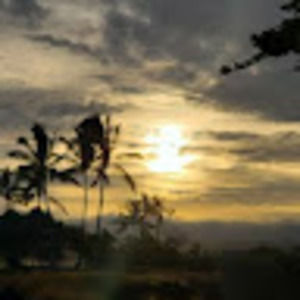 Meet your Posher, Gena